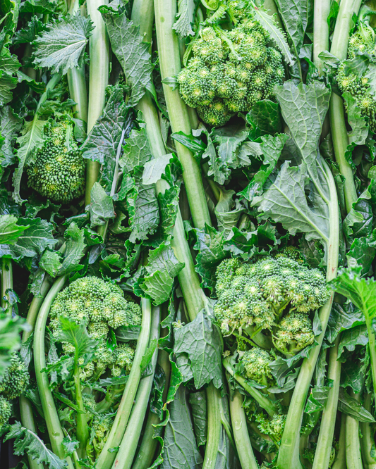 Ingredient: Cime di Rapa: The Green Heartbeat of Puglia