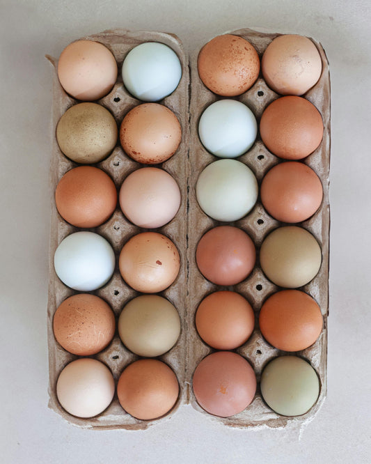 Ingredient: Egg – The Alchemist’s Gold